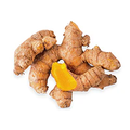 Curcumin Extract